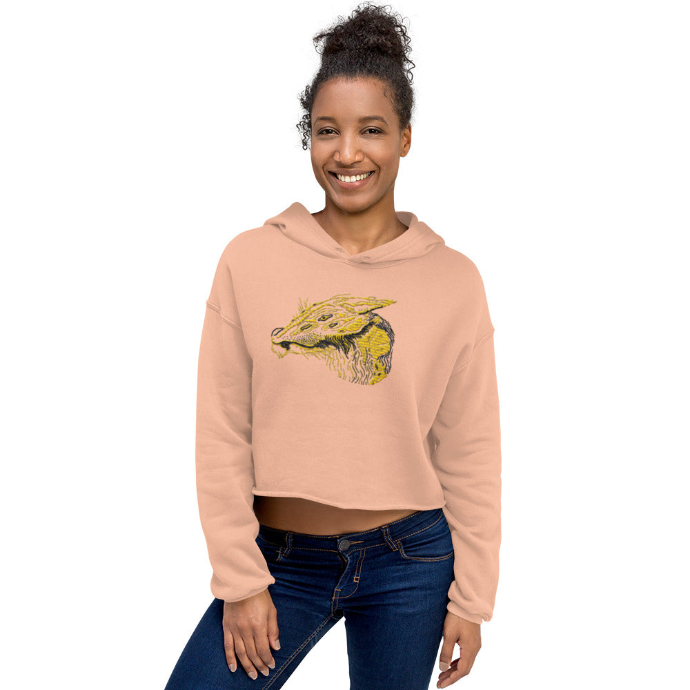 Dragon Crop Hoodie